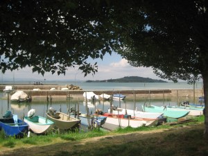 trasimeno trasimeno