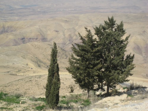 giordania Monte Nebo monte nebo
