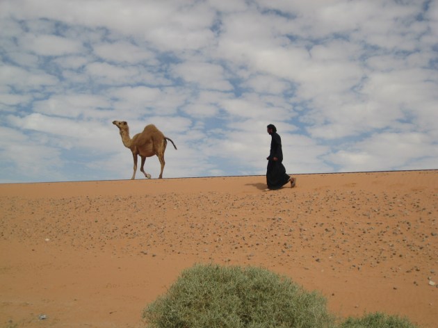 avventura deserto giordano avventura deserto giordano