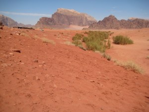 giordania-wadi rum