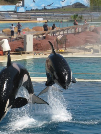 marineland
