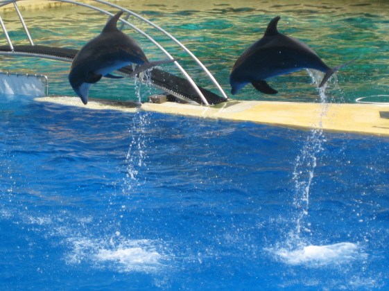 marineland