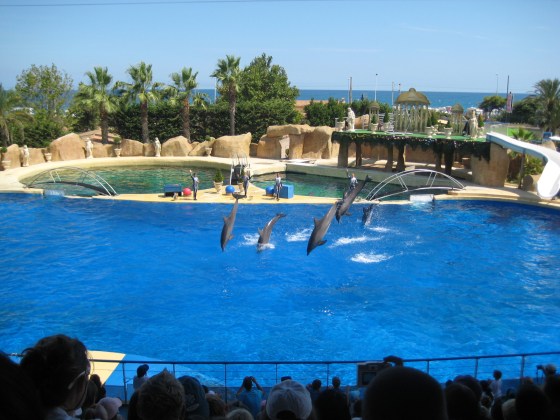 marineland