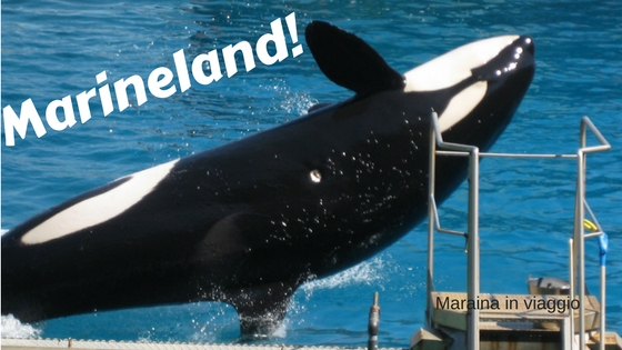 Marineland!