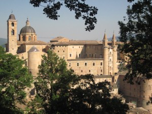 urbino