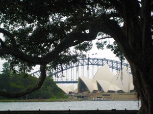 botanic gardens sydney botanic gardens sydney
