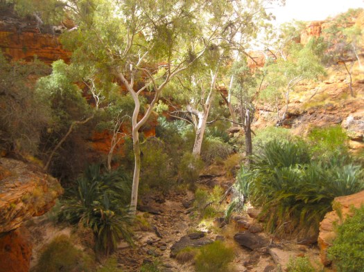 kings canyon