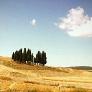 IMG_20120707_144907.jpg image