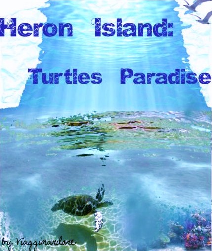 heron island polyvore