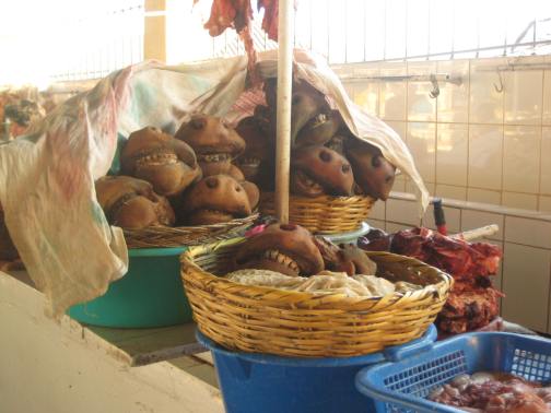 mercado san pedro cusco
