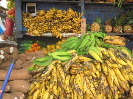 mercado puerto maldonado