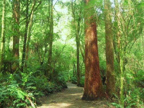 Oatway National Park, Australia