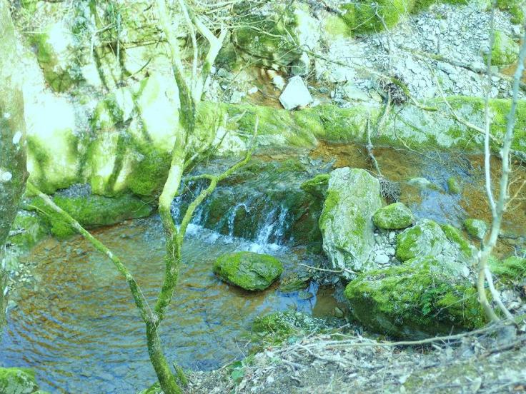 Il Rio Buti che costeggia il percorso. O viceversa...