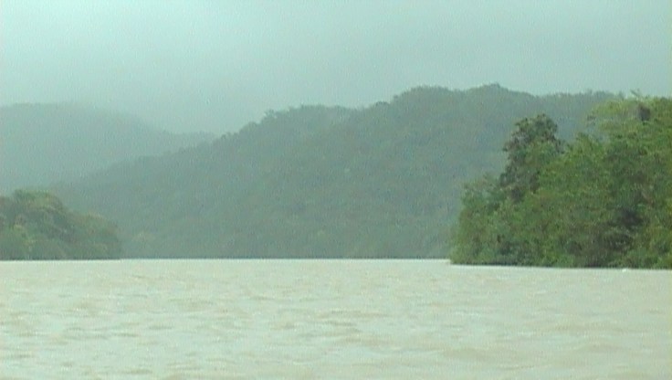 Il Daintree River durante la pioggia tropicale che ci sorprese durante l'escursione nella foresta pluviale del Daintree National Park