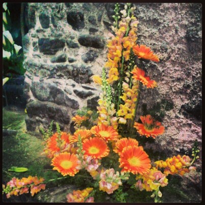 Carrugi in fiore a Dolceacqua