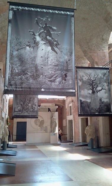 L'allestimento di "Baobab, Tree of Generation", all'interno di T.R.I.P. ai Mercati di Traiano