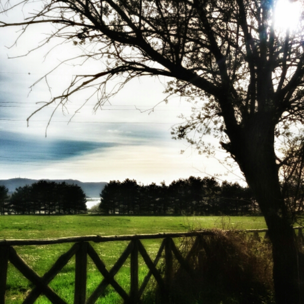 IMG_20150506_213819.jpg image