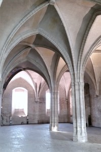 Palazzo dei Papi. Una delle tante sale altere e spoglie