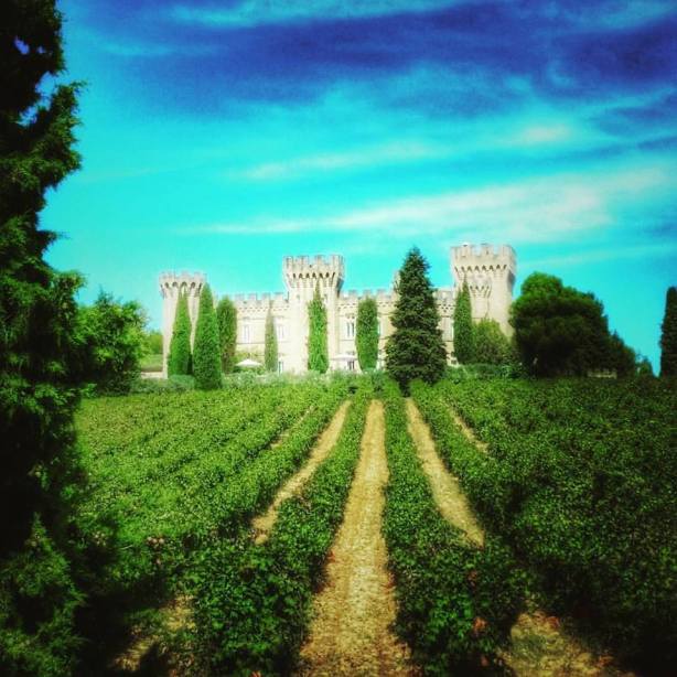 Un castello in mezzo ai vigneti: cartolina da Chateauneuf-du-pape