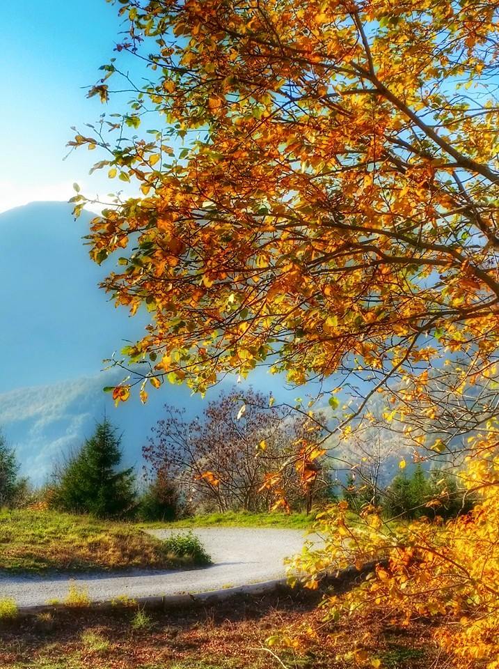 La montagna pistoiese in autunno
