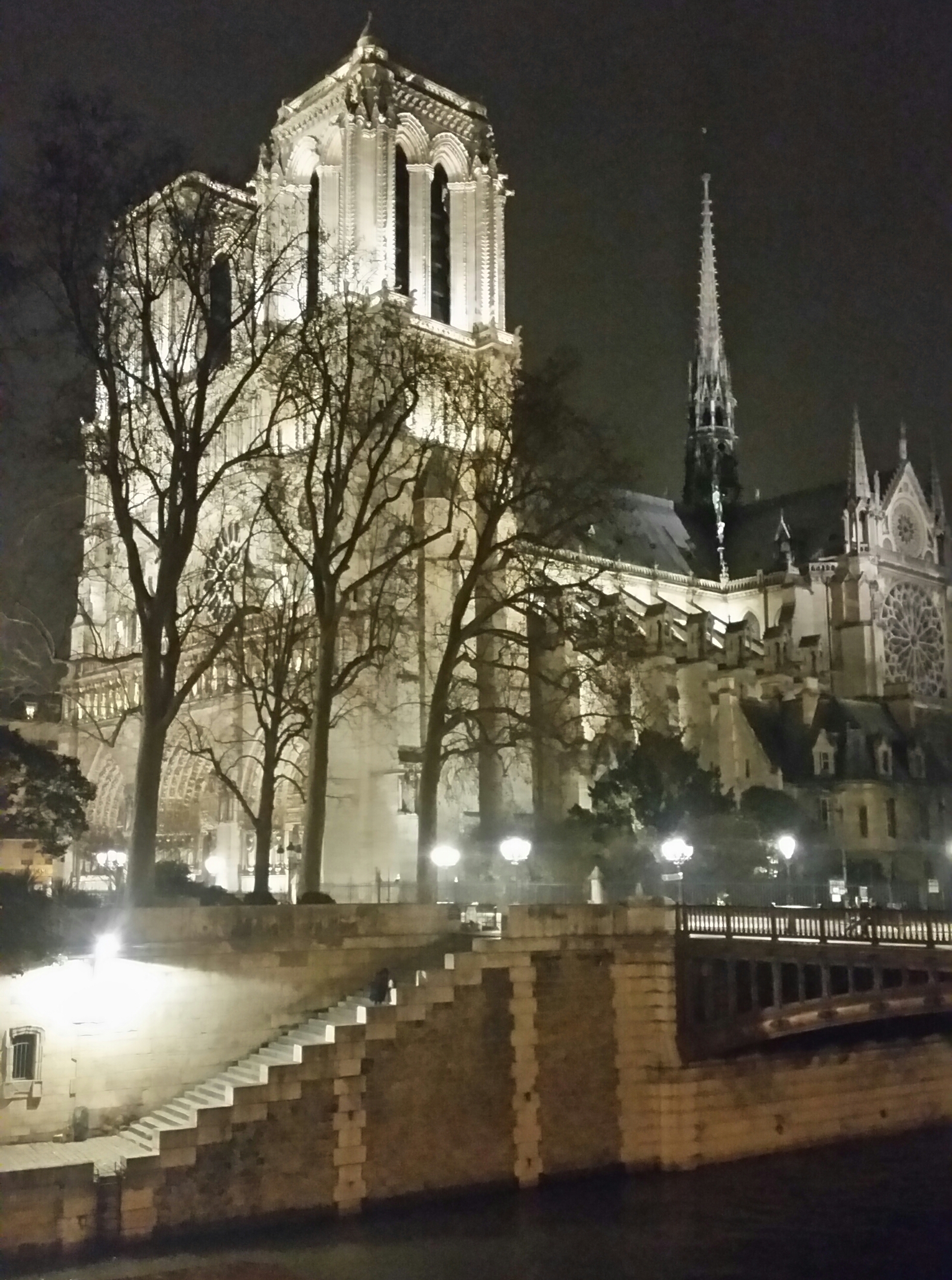 Notre Dame by night