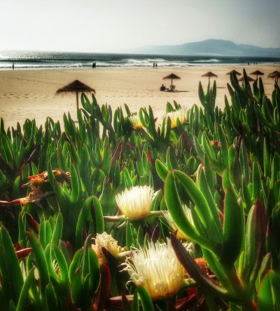 La lunghissima spiaggia di inizia da Tarifa e prosegue per 10 km.