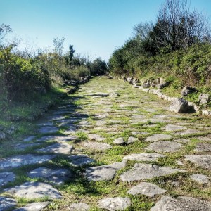 Il tratto di decumano massimo ripulito da Legambiente