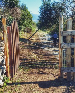 Alla fine del basolato c'è un cancello, oltre il quale iniziano i campi coltivati. La città antica sta sotto le coltivazioni di erba medica