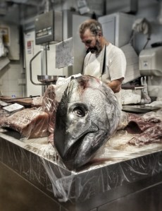 Un tonno xxl sul banco del pesce nel mercato centrale di Cadice