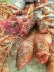 pesce in vendita al mercato di Tarragona