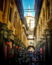 il mercato dell'Algeicias