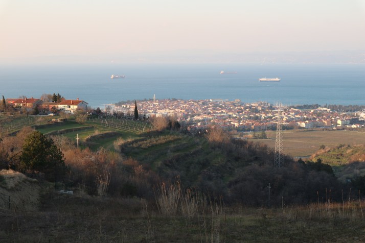 panorama Izola