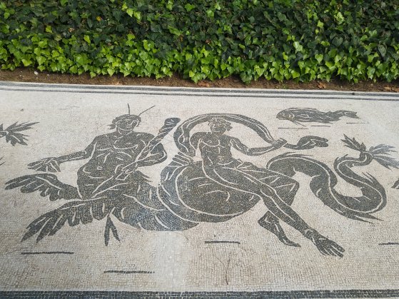 mosaico castelporziano