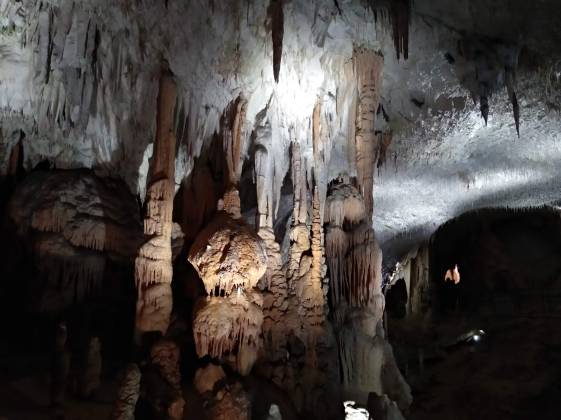 grotte di Postumia -Postojna cave