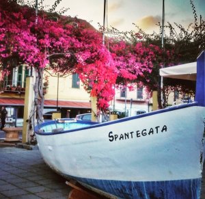 porto maurizio Marina