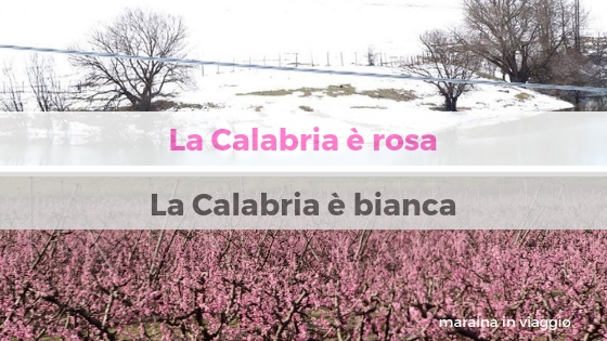 La Calabria è rosa la calabria è bianca