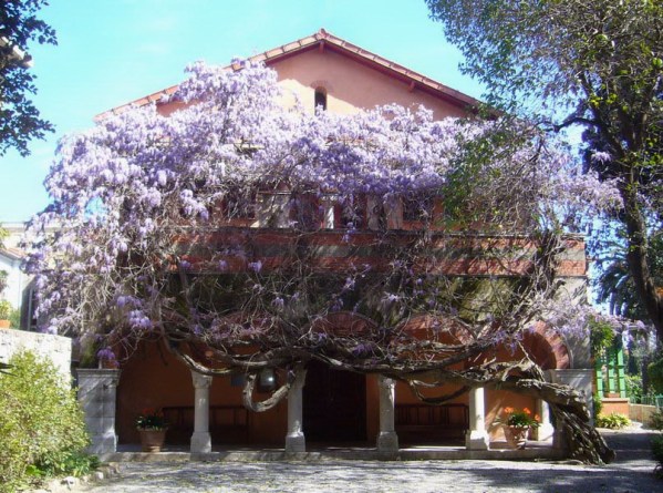 museo bicknell bordighera