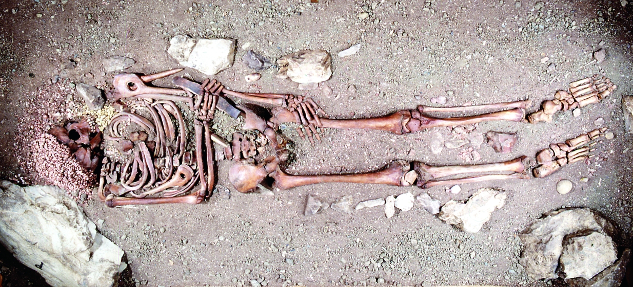 Museo Archeologia Ligure-Sepoltura-del-Principe