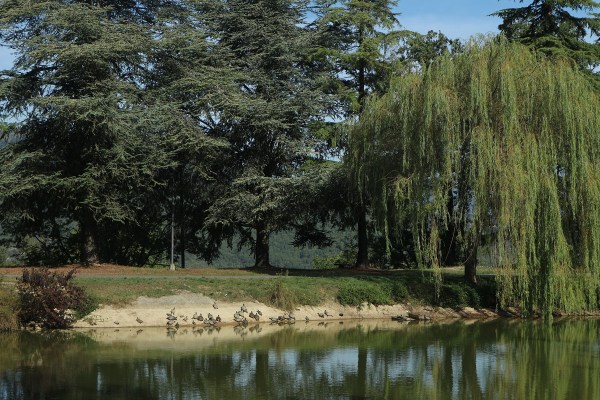 Laghetto di Lucinasco