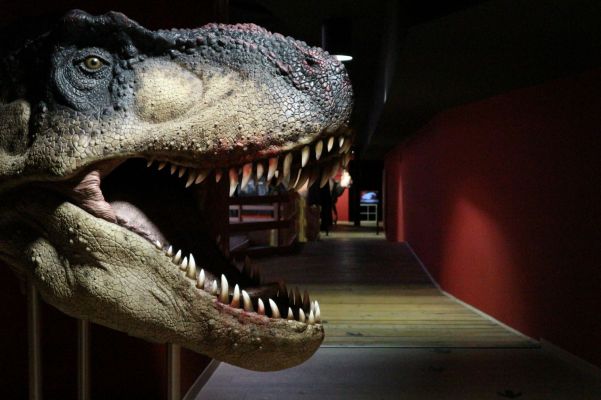 aosta_dinosauri-in-carne-e-ossa